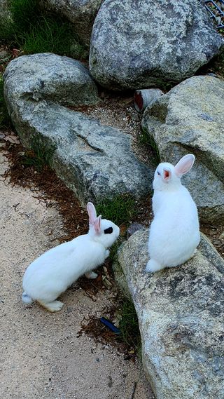 박¿일님의 자유주제 · 사진전 작성글 사진
