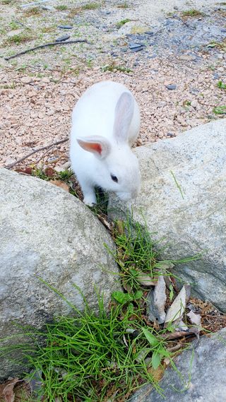 박¿일님의 자유주제 · 사진전 작성글 사진