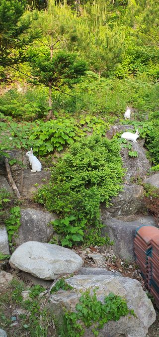 박¿일님의 자유주제 · 사진전 작성글 사진