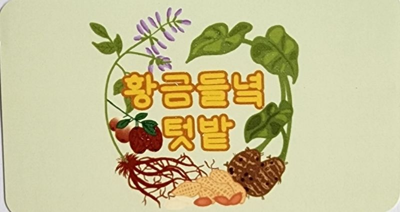 최민자 님의 장터 판매 상품 [(판매완료)왕토란 모종 판매 ] 첨부 사진