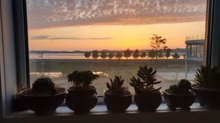 조병대님의 자유주제 · 사진전 작성글 사진