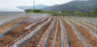 양성근님의 참깨 · 자유게시판 작성글 사진