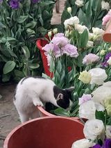 팜모닝 자유주제·사진전 게시글 이미지