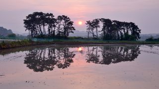 최수일님의 자유주제 · 사진전 작성글 사진
