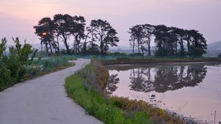 최수일님의 자유주제 · 사진전 작성글 사진
