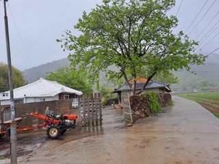 푸른오이님의 자유주제 · 사진전 작성글 사진