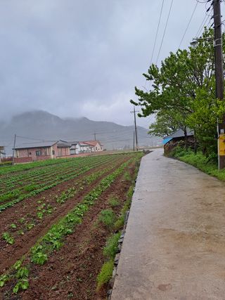 푸른오이님의 자유주제 · 사진전 작성글 사진
