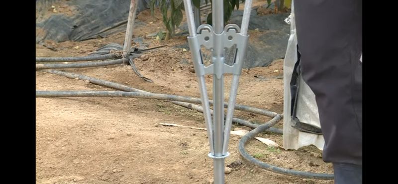 협진산업님의 장터 판매 상품 [고춧대 고추지지대Y1박스 30개 무료배송 최저가] 첨부 사진