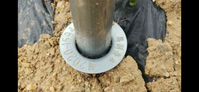 협진산업님의 장터 판매 상품 [고춧대 고추지지대Y1박스 30개 무료배송 최저가] 첨부 사진