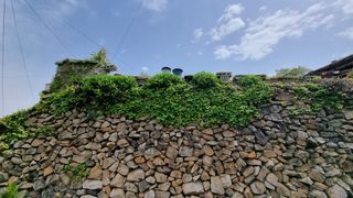 촌사리님의 자유주제 · 사진전 작성글 사진