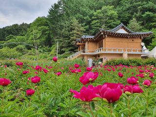 신수현님의 자유주제 · 사진전 작성글 사진