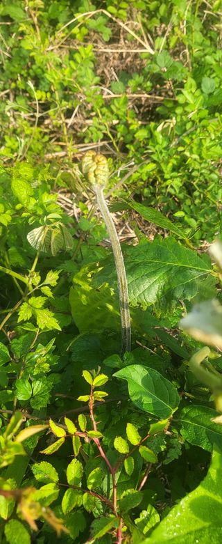 문도연님의 우리동네 · 동네수다 작성글 사진