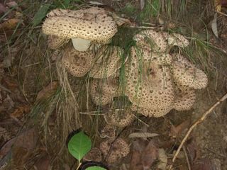 무진장UDT님의 자유주제 · 자유게시판 작성글 사진