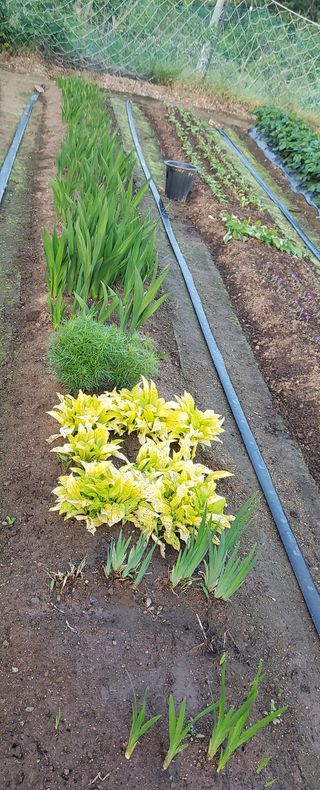 또비님의 자유주제 · 자유게시판 작성글 사진