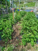 팜모닝 자유주제·사진전 게시글 이미지