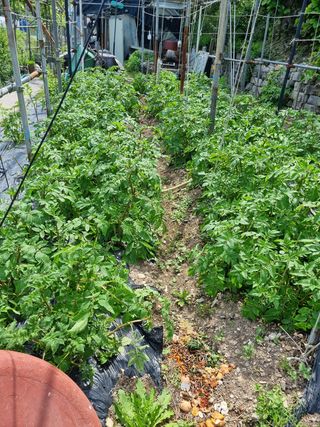 시금치18078님의 자유주제 · 사진전 작성글 사진