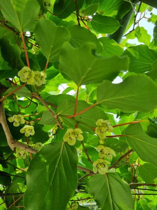 시금치18078님의 자유주제 · 사진전 작성글 사진