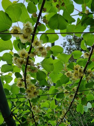 시금치18078님의 자유주제 · 사진전 작성글 사진