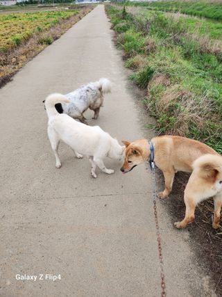 정한구님의 자유주제 · 사진전 작성글 사진