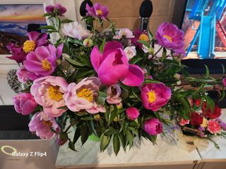 정한구님의 자유주제 · 사진전 작성글 사진