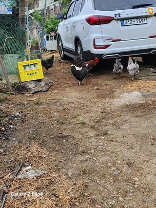 정한구님의 자유주제 · 사진전 작성글 사진