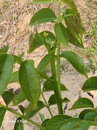 정한구님의 자유주제 · 사진전 작성글 사진