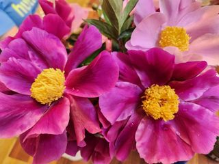 정한구님의 자유주제 · 사진전 작성글 사진