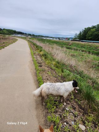 정한구님의 자유주제 · 사진전 작성글 사진