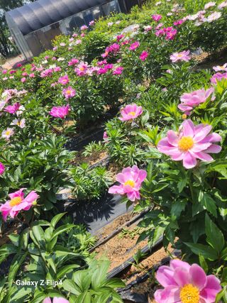 정한구님의 자유주제 · 사진전 작성글 사진