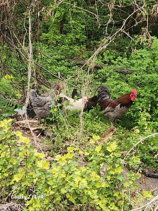 정한구님의 자유주제 · 사진전 작성글 사진