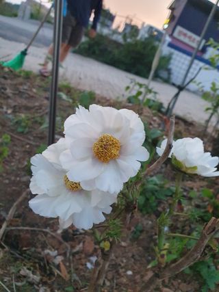 알 수 없음님의 자유주제 · 사진전 작성글 사진