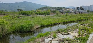 Pointlej님의 자유주제 · 사진전 작성글 사진