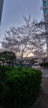 팜모닝 자유주제·사진전 게시글 이미지