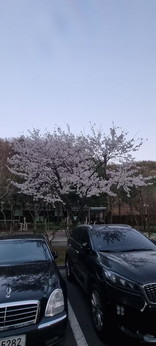 가자님의 자유주제 · 사진전 작성글 사진