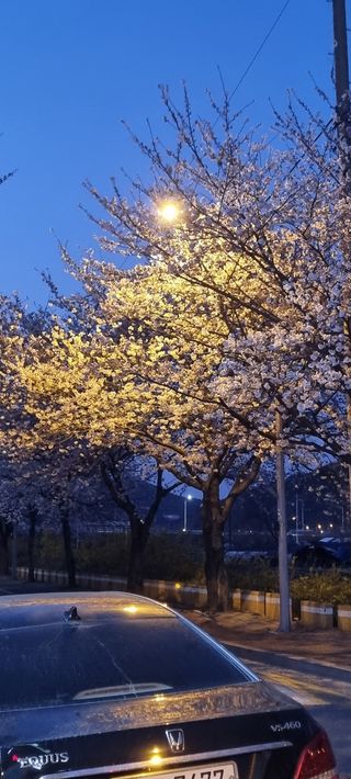 가자님의 자유주제 · 사진전 작성글 사진