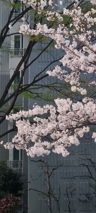 가자님의 자유주제 · 사진전 작성글 사진