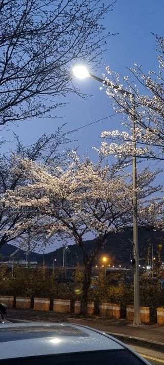 가자님의 자유주제 · 사진전 작성글 사진