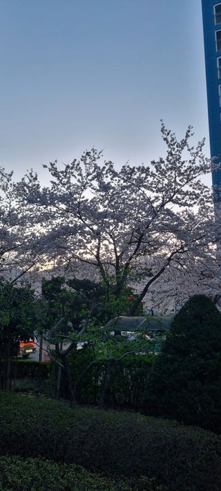 가자님의 자유주제 · 사진전 작성글 사진