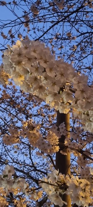 가자님의 자유주제 · 사진전 작성글 사진