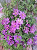 팜모닝 자유주제·사진전 게시글 이미지