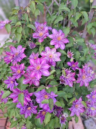 최창숙님의 자유주제 · 사진전 작성글 사진