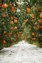 팜모닝 자유주제·사진전 게시글 이미지