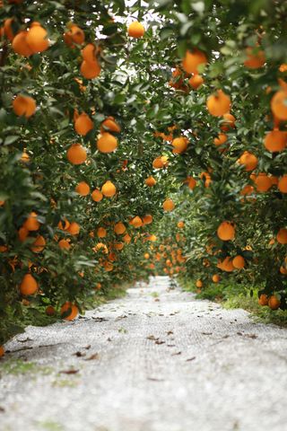 간세달인님의 자유주제 · 사진전 작성글 사진