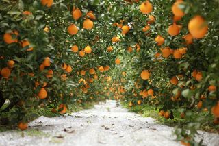 간세달인님의 자유주제 · 사진전 작성글 사진