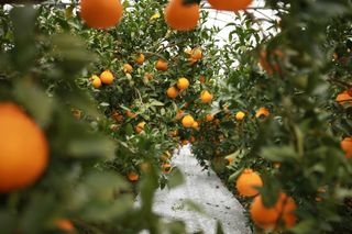 간세달인님의 자유주제 · 사진전 작성글 사진