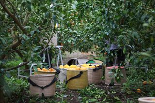 간세달인님의 자유주제 · 사진전 작성글 사진