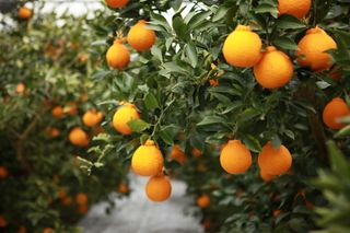 간세달인님의 자유주제 · 사진전 작성글 사진