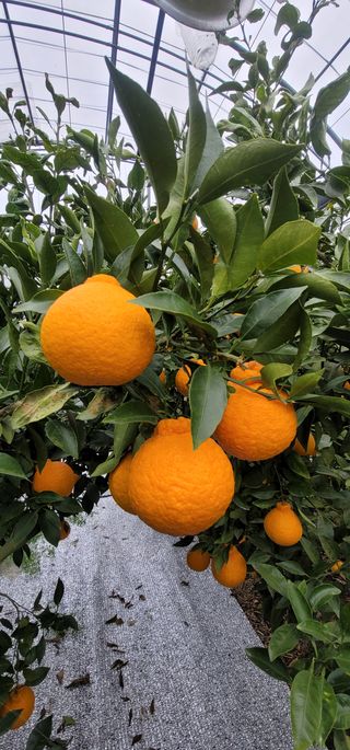 간세달인님의 자유주제 · 사진전 작성글 사진