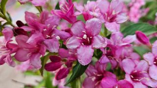 소백산오가피님의 자유주제 · 사진전 작성글 사진