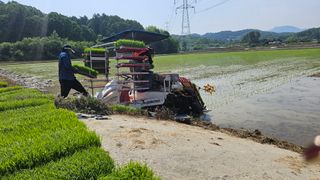 소백산오가피님의 자유주제 · 사진전 작성글 사진